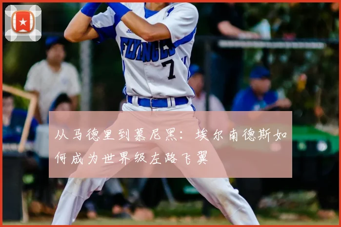 从马德里到慕尼黑:埃尔南德斯如何成为世界级左路飞翼
