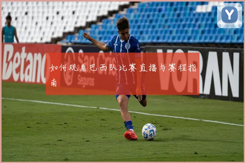 如何观看巴西队比赛直播与赛程指南